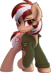 Size: 1156x1640 | Tagged: safe, artist:av-4, artist:avastin4, imported from derpibooru, oc, oc only, oc:roulette, earth pony, pony, fallout equestria, fallout equestria: red 36, chest fluff, clothes, fanfic art, female, jacket, looking at you, mare, simple background, smiling, smirk, solo, transparent background