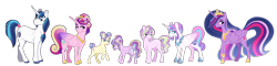 Size: 6500x1570 | Tagged: safe, artist:whalepornoz, imported from derpibooru, princess cadance, princess flurry heart, princess gold lily, princess skyla, princess sterling, shining armor, twilight sparkle, oc, alicorn, earth pony, pegasus, pony, unicorn, the last problem, alternate design, alternate hairstyle, armor, big crown thingy 2.0, family, female, jewelry, male, offspring, older, older flurry heart, parent:princess cadance, parent:shining armor, parents:shiningcadance, princess twilight 2.0, shiningcadance, shipping, straight, tiara, twilight sparkle (alicorn)