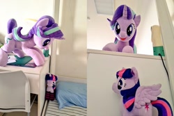 Size: 1534x1024 | Tagged: safe, artist:nekokevin, imported from derpibooru, starlight glimmer, twilight sparkle, twilight sparkle (alicorn), alicorn, pony, unicorn, series:nekokevin's glimmy, 4de, clothes, duo, female, irl, looking at you, looking down, mare, open mouth, photo, plushie, size difference, smiling, socks, spread wings, starlight's little twibird, striped socks, wings