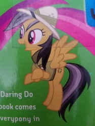 Size: 4032x3024 | Tagged: safe, imported from derpibooru, daring do, pegasus, pony, clothes, error, female, fucked up, fucked up face, hat, pith helmet, solo, wait what