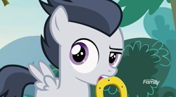 Size: 1181x653 | Tagged: safe, imported from derpibooru, screencap, rumble, pegasus, pony, marks and recreation, colt, discovery family logo, horseshoes, looking back, male, mouth hold, solo