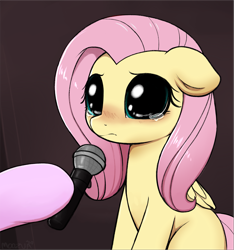 Size: 2655x2838 | Tagged: safe, artist:moozua, edit, editor:maonyman, imported from derpibooru, fluttershy, pegasus, pony, big eyes, blushing, crying, crying cat, cute, dilated pupils, doe eyes, female, floppy ears, hoof hold, hooves, looking at you, mare, meme, microphone, missing cutie mark, offscreen character, ponified animal photo, ponified meme, sad, sadorable, shyabetes, solo focus, teary eyes, textless