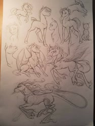 Size: 600x800 | Tagged: safe, artist:bootsdotexe, imported from derpibooru, discord, alicorn, draconequus, earth pony, kirin, pegasus, pony, female, grayscale, male, mare, monochrome, pencil drawing, realistic horse legs, sketch, sketch dump, stallion, traditional art, unshorn fetlocks