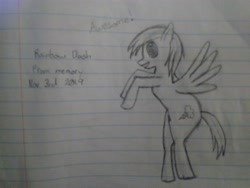 Size: 4160x3120 | Tagged: safe, imported from derpibooru, rainbow dash, pegasus, pony, female, lined paper, pencil drawing, photo, solo, traditional art