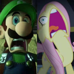 Size: 2896x2896 | Tagged: safe, deleted from derpibooru, imported from derpibooru, fluttershy, scare master, comparison, flutterscream, luigi, luigi's mansion, luigi's mansion 3, meme, nintendo, open mouth, super mario bros., terrified