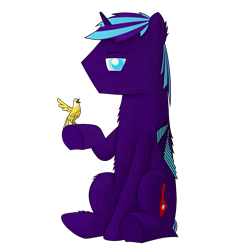 Size: 2000x2000 | Tagged: safe, artist:dark_wind, derpibooru exclusive, imported from derpibooru, oc, oc only, oc:dark wind, alicorn, bird, pony, 2020 community collab, derpibooru community collaboration, alicorn oc, horn, looking at you, male, simple background, solo, stallion, transparent background