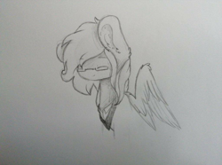 Size: 800x596 | Tagged: safe, artist:hirokies walker, imported from derpibooru, oc, oc only, oc:precised note, pegasus, pony, clothes, eyes closed, glasses, sketch, smiling, traditional art, tuxedo, wings