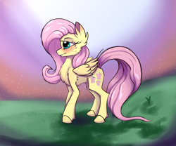 Size: 6000x5000 | Tagged: safe, artist:lux-arume, artist:luxsimx, imported from derpibooru, fluttershy, pegasus, pony, blushing, cheek fluff, chest fluff, ear fluff, female, mare, solo