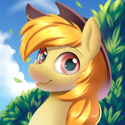 Size: 4000x4000 | Tagged: safe, artist:ask-colorsound, imported from derpibooru, oc, oc only, oc:beamshot, earth pony, pony, absurd resolution, cowboy hat, hat, icon, male, solo, stallion, tree