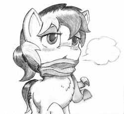 Size: 649x598 | Tagged: safe, artist:spackle, imported from derpibooru, oc, oc only, oc:amber evergreen, oc:buck evergreen, earth pony, pony, blushing, breath, chest fluff, clothes, female, lidded eyes, mare, monochrome, rule 63, scarf, simple background, solo, traditional art, visible breath