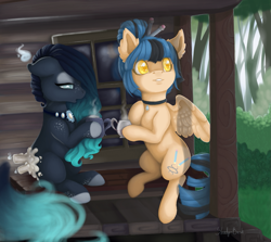 Size: 1339x1193 | Tagged: safe, artist:shady-bush, imported from derpibooru, oc, oc only, oc:halcyon, oc:upcoming rain, original species, pegasus, pony, scented pony, closed species, dexterous hooves, female, mare