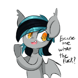 Size: 301x301 | Tagged: safe, artist:thieftea, imported from derpibooru, oc, oc:greycedar, bat pony, pony, excuse me what the fuck, male, meme, vulgar