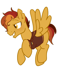 Size: 800x1000 | Tagged: safe, artist:bubaiuv, imported from derpibooru, oc, pegasus, pony, clothes, male, simple background, solo, stallion, transparent background, vest