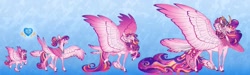 Size: 1627x491 | Tagged: safe, artist:turnipberry, imported from derpibooru, princess cadance, alicorn, pegasus, pony, age progression, colored wings, evolution, feathered fetlocks, tail feathers, teen princess cadance, ultimate cadance, wings, younger