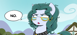 Size: 981x453 | Tagged: safe, artist:shoutingisfun, imported from derpibooru, cloudy quartz, earth pony, pony, cropped, dialogue, loose hair, no, solo, speech bubble