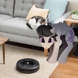 Size: 2098x2098 | Tagged: safe, artist:yakovlev-vad, edit, imported from derpibooru, octavia melody, cat, earth pony, pony, behaving like a cat, irl, photo, ponies in real life, question mark, roomba, solo, tavicat