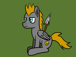 Size: 1024x768 | Tagged: safe, artist:platinumdrop, imported from derpibooru, oc, oc only, oc:platinumdrop, pegasus, pony, male, simple background, solo, spear, stallion, weapon