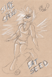 Size: 1034x1528 | Tagged: safe, artist:loki-bagel, imported from derpibooru, oc, oc only, oc:terracotta, anthro, hippogriff, clothes, female, fit, grabby boi, scan, shorts, skateboard, solo, sunglasses, tanktop, traditional art