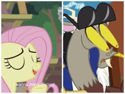 Size: 1440x1080 | Tagged: safe, edit, edited screencap, imported from derpibooru, screencap, angel bunny, discord, fluttershy, dungeons and discords, she talks to angel, body swap, eye bulging, implied discoshy, implied shipping, implied straight, meme, reaction, shipping fuel, sunglasses