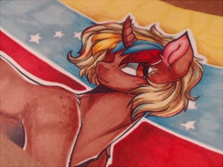 Size: 640x480 | Tagged: safe, artist:silverlove234, imported from derpibooru, oc, oc:nucita, pony, unicorn, venezuela