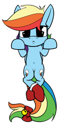 Size: 1250x2250 | Tagged: safe, artist:dacaoo, imported from derpibooru, rainbow dash, pony, bell, bow, clothes, female, looking at you, simple background, socks, solo, tail bow, transparent background