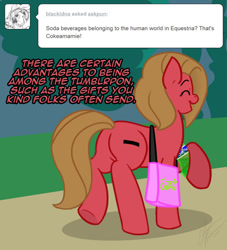 Size: 726x800 | Tagged: safe, artist:pokemon-chick-1, imported from derpibooru, oc, oc only, oc:pun, earth pony, pony, ask pun, ask, bad, female, mare, solo