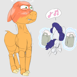 Size: 2880x2880 | Tagged: safe, artist:firefanatic, imported from derpibooru, applejack, rarity, alpaca, unicorn, alpacafied, angry, gritted teeth, happy, magic, paper bag, pronking, red face, shaved, species swap, stealing, vein bulge, wool