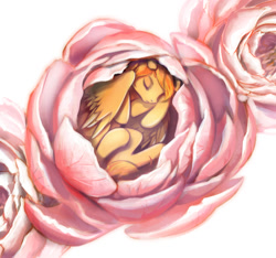 Size: 1102x1033 | Tagged: safe, artist:raranfa, imported from derpibooru, oc, oc only, oc:firetale, pegasus, pony, female, flower, mare, sleeping, sleeping in flower, solo