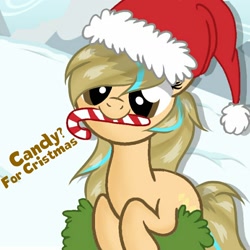Size: 1280x1280 | Tagged: safe, artist:grithcourage, imported from derpibooru, oc, oc only, oc:grith courage, earth pony, pony, backround, candy, candy cane, christmas, cristmas, cute, food, hat, holiday, misspelling, santa hat, simple shading, snow, solo, text, to saddlebags and back again