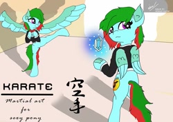 Size: 843x596 | Tagged: safe, artist:irshadhazmi, imported from derpibooru, oc, oc only, oc:precised note, pegasus, pony, advertisement, bowtie, clothes, cutie mark, gem, japanese, karate, kicking, request, room, shadow, spread wings, standing, symbol, training, tuxedo, watermark, wings