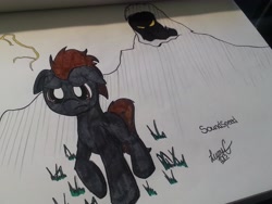 Size: 3264x2448 | Tagged: safe, artist:lucas_gaxiola, imported from derpibooru, oc, oc only, oc:soundspeed, earth pony, pony, shadow pony, earth pony oc, frown, glowing eyes, grass, irl, male, photo, signature, stallion, traditional art