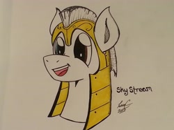 Size: 3264x2448 | Tagged: safe, artist:lucas_gaxiola, imported from derpibooru, oc, oc only, oc:sky stream, earth pony, pony, bust, earth pony oc, open mouth, signature, smiling, solo, traditional art