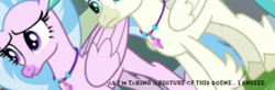 Size: 429x140 | Tagged: source needed, useless source url, safe, edit, edited screencap, imported from derpibooru, screencap, silverstream, terramar, hippogriff, student counsel, angle, camera shot, caption, cropped, meme, sneezing