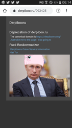 Size: 720x1280 | Tagged: safe, imported from derpibooru, oc, oc:fluffle puff, human, pony, derpibooru, meta, ponies riding humans, pony hat, riding, russia, vladimir putin, vulgar