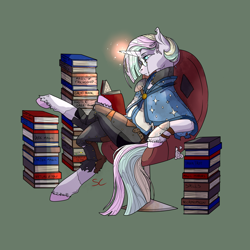 Size: 3000x3000 | Tagged: safe, artist:sourcherry, imported from derpibooru, oc, oc only, unnamed oc, pony, unicorn, armor, book, clothes, glasses, glowing horn, horn, horn glowing, scholar, solo