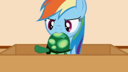 Size: 480x270 | Tagged: safe, artist:forgalorga, imported from derpibooru, rainbow dash, tank, pegasus, pony, animated, behaving like a cat, box, cute, dashabetes, fan animation, female, gif, loop, mouth hold, nom, playing, rainbow cat, solo, toy, your little cat 3