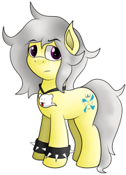 Size: 1830x2532 | Tagged: safe, artist:big brawler, artist:spk, imported from derpibooru, oc, oc only, oc:spokey, earth pony, ghost, ghost pony, pony, 2020 community collab, derpibooru community collaboration, female, jewelry, male, necklace, simple background, solo, spiked wristband, transparent background, wristband