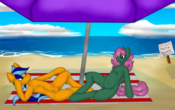 Size: 2368x1489 | Tagged: safe, alternate version, artist:deusexkittycoon, imported from derpibooru, oc, oc:hailfire, oc:petal eclipse, anthro, pegasus, beach, petailfire