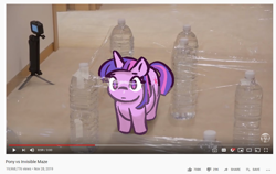 Size: 1180x744 | Tagged: safe, artist:burgeroise, imported from derpibooru, twilight sparkle, alicorn, pony, behaving like a cat, bottle, bottlecap, cream heroes, cute, female, irl, photo, ponies in real life, ponified animal photo, ponified animal video, solo, twiabetes, youtube