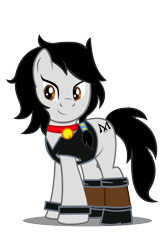 Size: 3000x4500 | Tagged: safe, artist:succubi samus, imported from derpibooru, oc, oc only, oc:double m, earth pony, pony, 2020 community collab, derpibooru community collaboration, bell, bell collar, boots, clothes, collar, cute, jacket, looking at you, male, shoes, show accurate, simple background, solo, stallion, transparent background