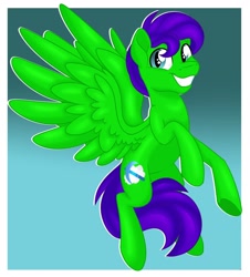 Size: 1600x1772 | Tagged: safe, artist:missbramblemele, artist:missmele-madness, imported from derpibooru, oc, oc only, oc:raulix evergreen, pegasus, pony, male, solo, stallion