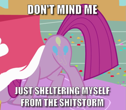Size: 677x592 | Tagged: safe, imported from derpibooru, pinkie pie, party of one, caption, image macro, pinkamena diane pie, shitstorm, text, vulgar