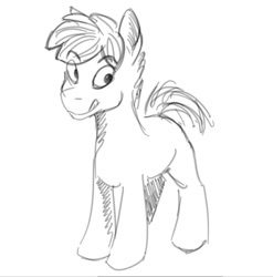 Size: 866x875 | Tagged: safe, artist:fynjy-87, imported from derpibooru, earth pony, male, sketch, stallion