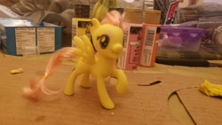 Size: 4032x2268 | Tagged: safe, imported from derpibooru, fluttershy, oc, oc:treble fire, pegasus, pony, female, mare, raised hoof, solo, toy, wip