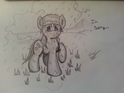 Size: 3264x2448 | Tagged: safe, artist:lucas_gaxiola, imported from derpibooru, oc, oc only, oc:charmed clover, earth pony, pony, crying, earth pony oc, frown, male, rain, raised hoof, solo, speech, stallion, traditional art