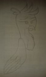 Size: 2560x1536 | Tagged: safe, artist:treble clefé, imported from derpibooru, gallus, griffon, bust, gallus is not amused, graph paper, male, monochrome, pencil drawing, photo, solo, traditional art, unamused