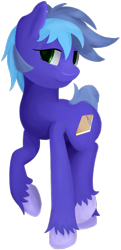 Size: 725x1499 | Tagged: safe, artist:alicorn-without-horn, imported from derpibooru, oc, oc only, oc:memory mark, earth pony, pony, 2020 community collab, derpibooru community collaboration, male, simple background, solo, transparent background