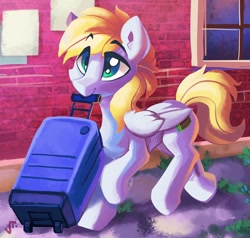 Size: 1280x1220 | Tagged: dead source, safe, artist:saxopi, imported from derpibooru, oc, oc only, oc:cutting chipset, pegasus, pony, luggage, male, mouth hold, solo