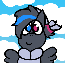 Size: 664x647 | Tagged: safe, artist:bigsneks, imported from derpibooru, oc, oc only, oc:doodlegamertj, pegasus, pony, cloud, heterochromia, sky, solo