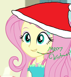 Size: 628x686 | Tagged: safe, edit, edited screencap, imported from derpibooru, screencap, fluttershy, equestria girls, 1000 hours in ms paint, christmas, clothes, cropped, dress, hat, holiday, jewelry, merry christmas, necklace, open mouth, santa hat, talking, text